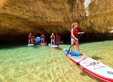 Albufeira: Leksjon i Stand Up Paddle og kysttur