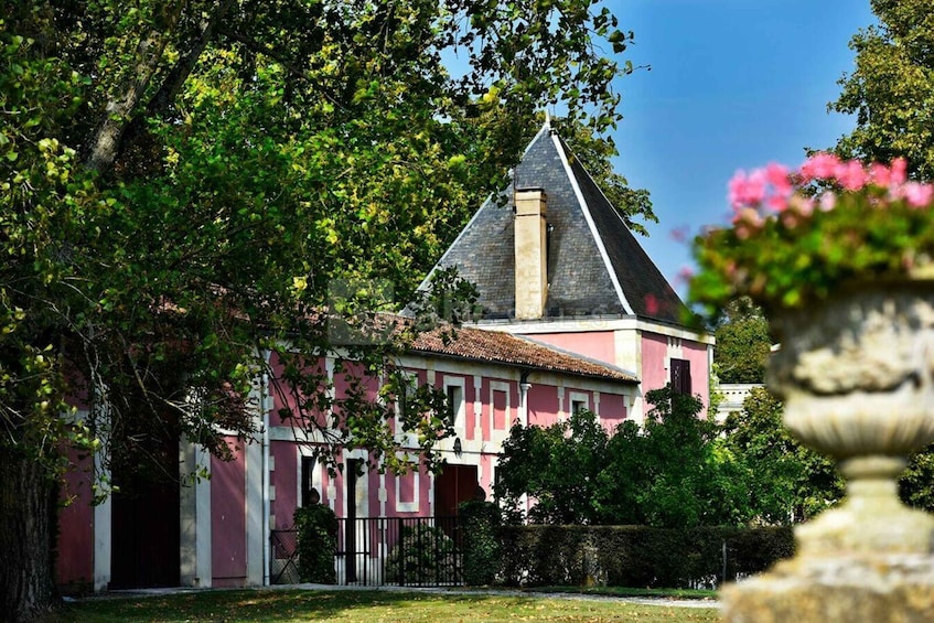 Picture 16 for Activity Bordeaux: Saint-Emilion and Medoc Full-Day Wine Experience