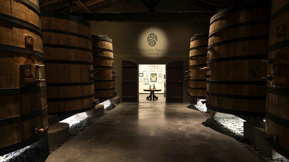 Picture 11 for Activity Bordeaux: Saint-Emilion and Medoc Full-Day Wine Experience