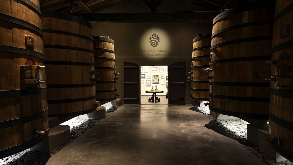 Picture 11 for Activity Bordeaux: Saint-Emilion and Medoc Full-Day Wine Experience