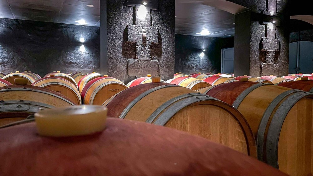 Picture 2 for Activity Bordeaux: Saint-Emilion and Medoc Full-Day Wine Experience