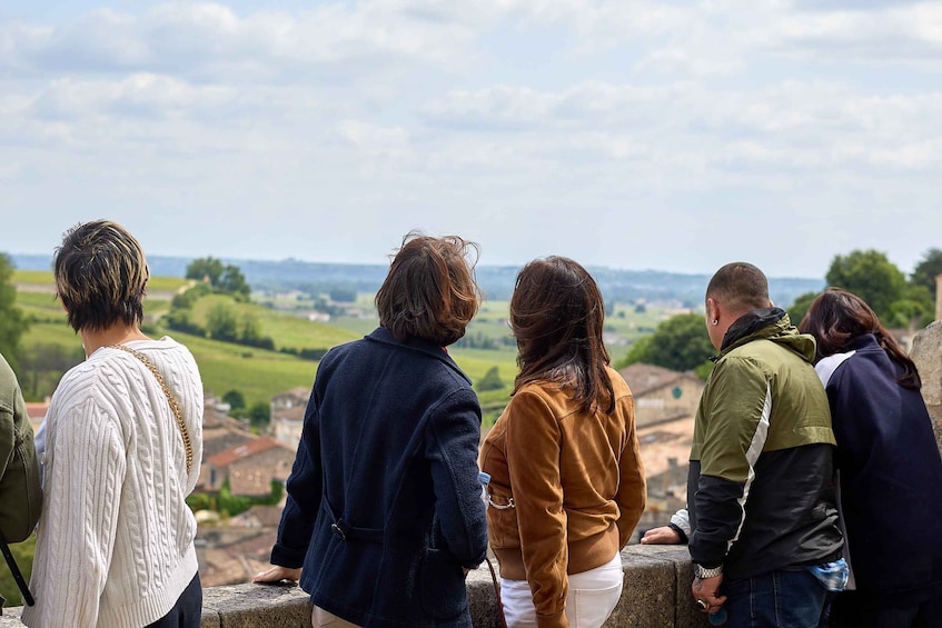 Picture 2 for Activity Bordeaux: Saint-Emilion and Medoc Full-Day Wine Experience