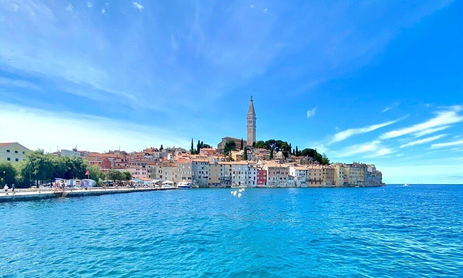 Picture 3 for Activity From Rovinj: Istria in 1 Day Tour with Truffle tasting