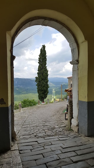 Picture 16 for Activity Istria: Guided Tour of Inner Istria with Food Tasting