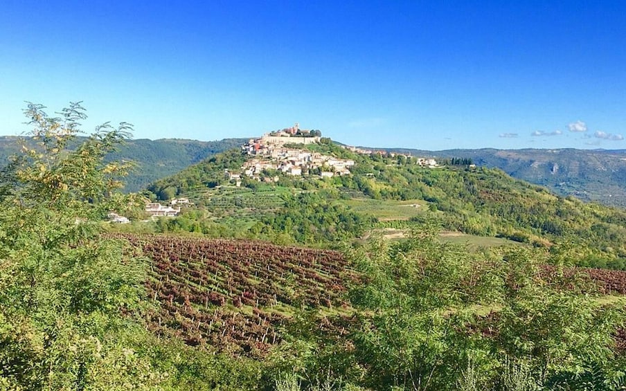 Picture 8 for Activity Istria: Guided Tour of Inner Istria with Food Tasting