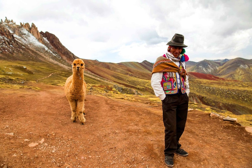 Picture 3 for Activity Cusco: Full-Day Private Hike to Palcoyo Rainbow Mountain