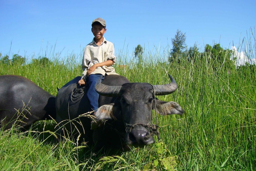 Picture 3 for Activity Hoi An Countryside: Guided Morning or Afternoon Bicycle Tour