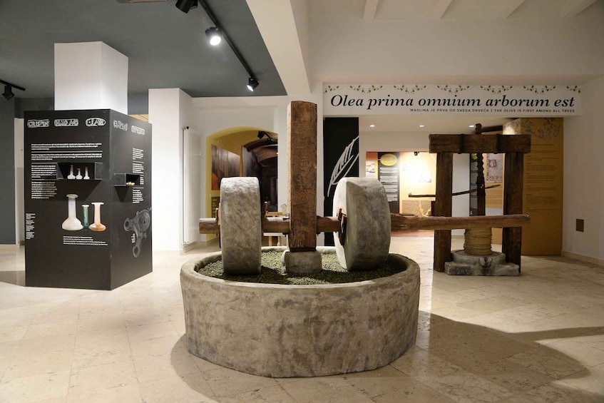 Picture 1 for Activity Pula: House of Istrian Olive Oil Museum and Guided Tasting