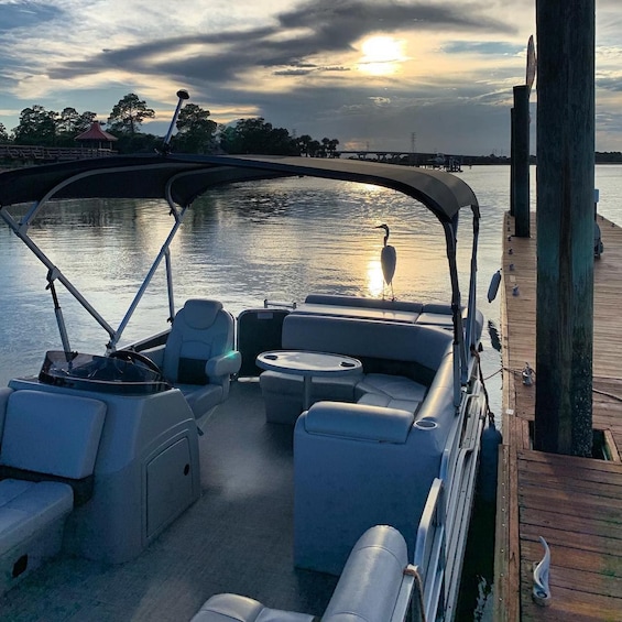 Picture 2 for Activity Hilton Head Island: Pontoon Boat Rental