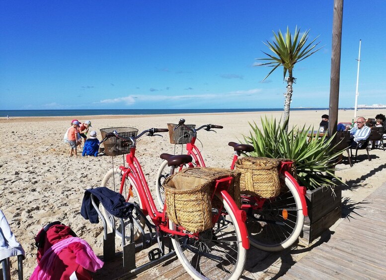 Picture 6 for Activity Cadiz: Private Tour with Tapas, Wine Tasting and Bike Rental