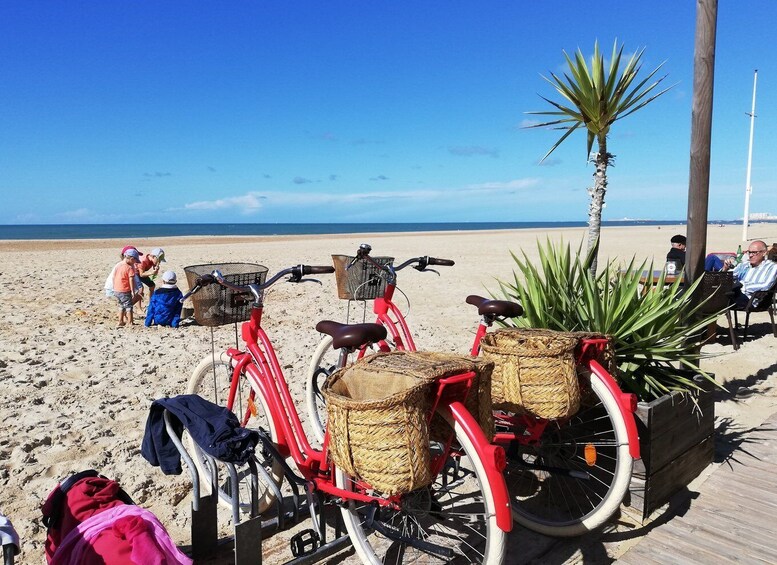 Picture 6 for Activity Cadiz: Private Tour with Tapas, Wine Tasting and Bike Rental