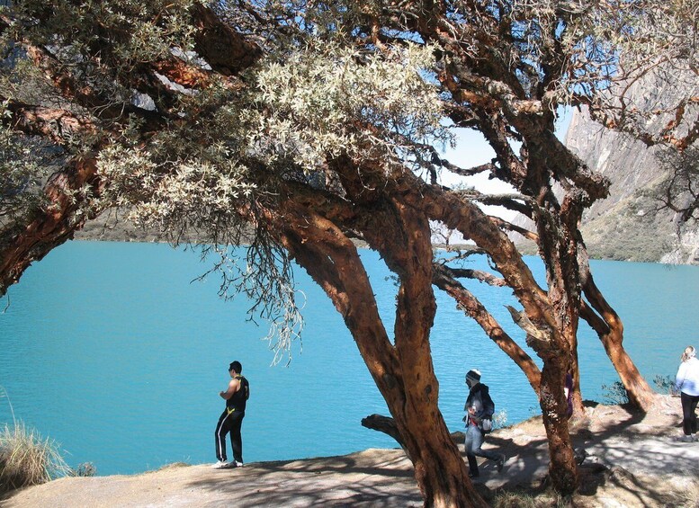 Picture 1 for Activity From Huaraz: Guided Hiking Tour of Llanganuco Lakes & Entry