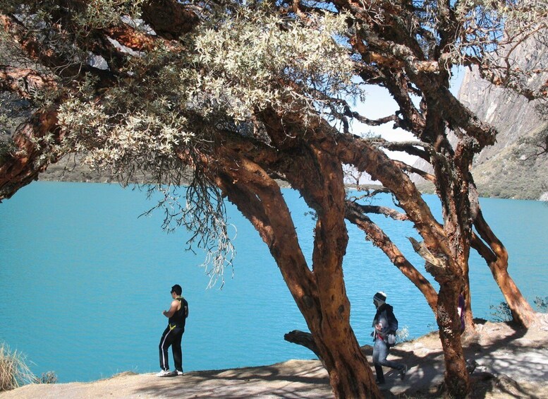 Picture 1 for Activity From Huaraz: Guided Hiking Tour of Llanganuco Lakes & Entry