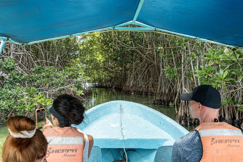 Picture 1 for Activity Puerto Escondido: Lagunas de Chacahua Day Trip and Boat Ride