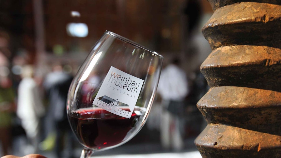 Stuttgart: Stuttgart Wine Museum Wine Tasting