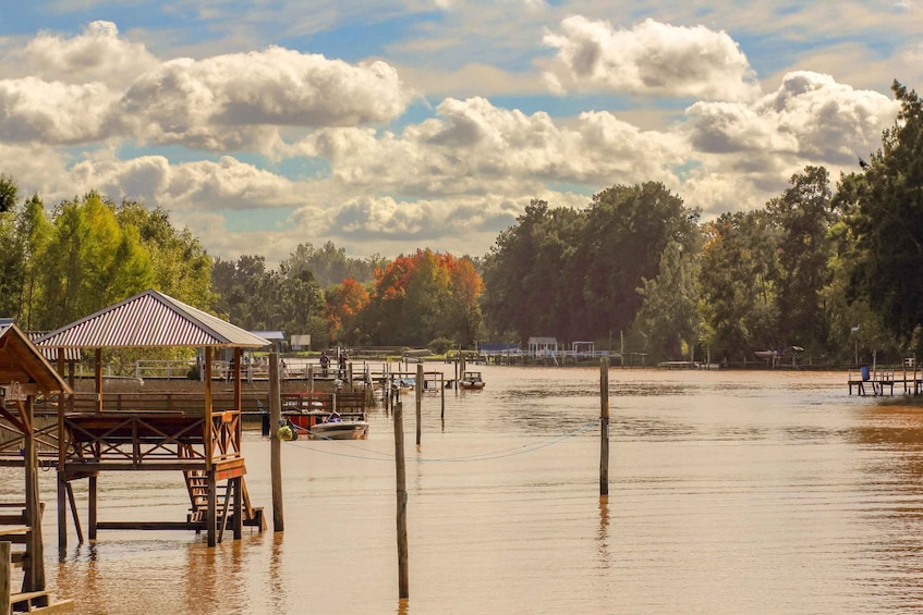 Picture 7 for Activity Tigre Delta: Boat Tour from Buenos Aires