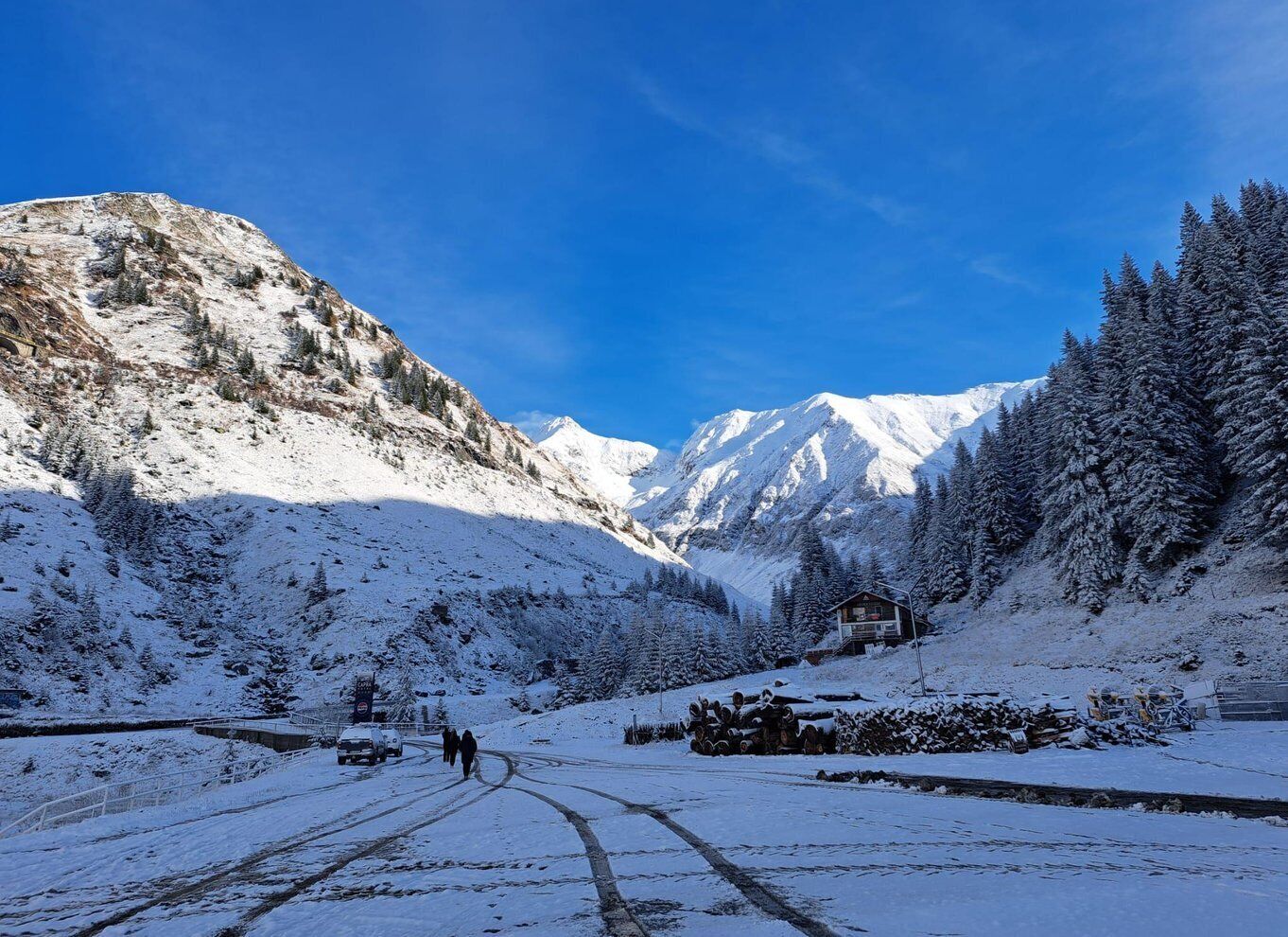 Bucharest: Top Gear Road - Transfăgărășan Highway Day Trip