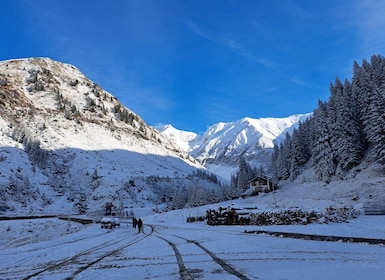 Bucharest: Top Gear Road - Transfăgărășan Highway Day Trip