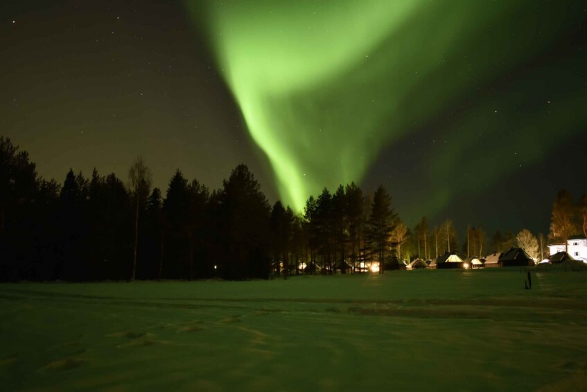 Picture 3 for Activity Rovaniemi: Horse Carriage Ride under the Night Sky