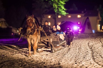 Rovaniemi: paseo en carruaje de caballos bajo el cielo nocturno