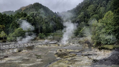 Furnas: Theeplantages, meer en vulkaan rondleiding