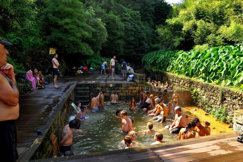 Picture 2 for Activity Furnas: Tea Plantations, Lake and Volcano Guided Tour