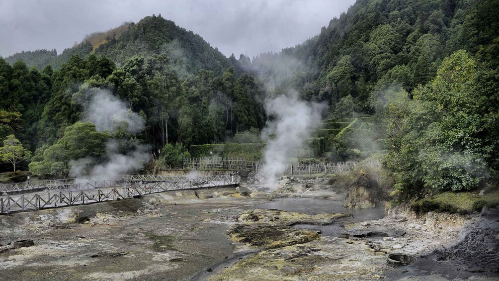 Picture 1 for Activity Furnas: Tea Plantations, Lake and Volcano Guided Tour