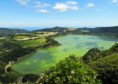 Furnas: visita guiada a las plantaciones de té, al lago y al volcán