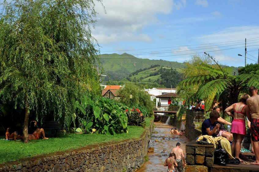Picture 6 for Activity Furnas: East Island Nature Experience - São Miguel island