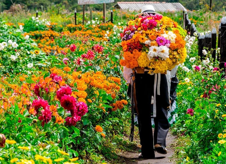 Medellín: Flower Farm & Silletero History Tour