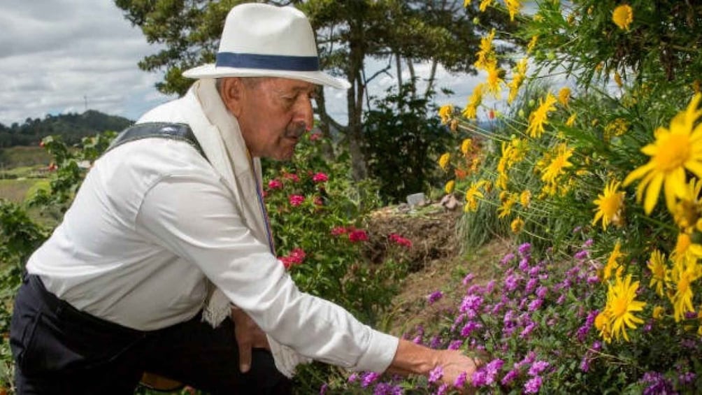 Picture 1 for Activity Medellín: Flower Farm & Silletero History Tour