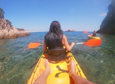 Costa Brava : Excursion en kayak et plongée avec masque et tuba avec déjeun...
