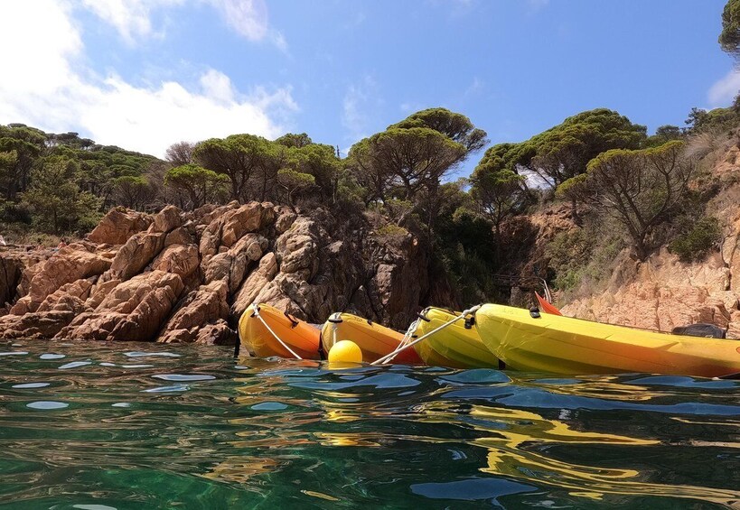 Picture 4 for Activity Barcelona: Costa Brava Kayak and Snorkel Tour with Lunch