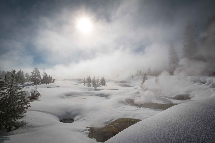 Picture 4 for Activity Jackson: Yellowstone Snowmobile Tour to Old Faithful