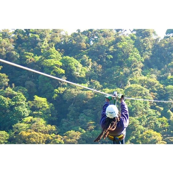 Picture 4 for Activity Medellin: 4-Hour Zip-Line Adventure