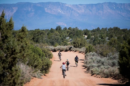 Springdale: Half-Day Mountain Biking Adventure