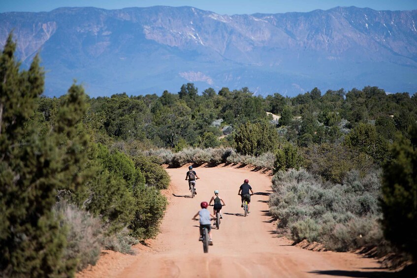 Springdale: Half-Day Mountain Biking Adventure