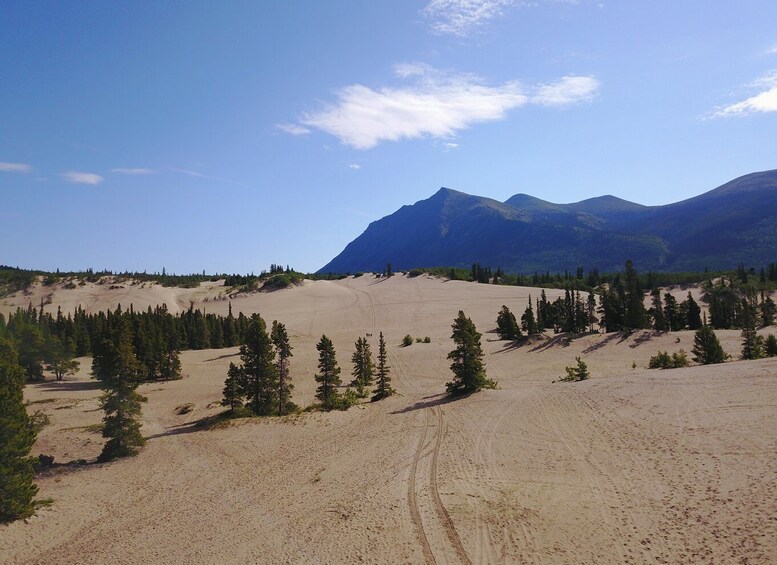 Picture 2 for Activity From Whitehorse: Klondike Gold Rush Tour incl. Emerald Lake