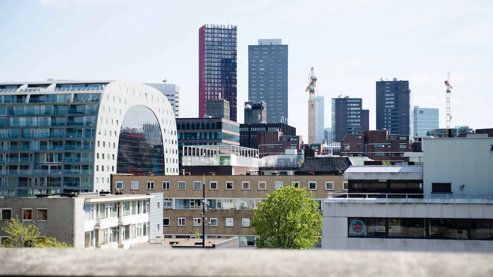 Picture 1 for Activity Rotterdam: Exclusive Rooftop Tour with 360˚ views