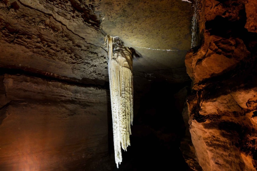 Picture 4 for Activity Doolin Cave: Underground Stalactite Tour