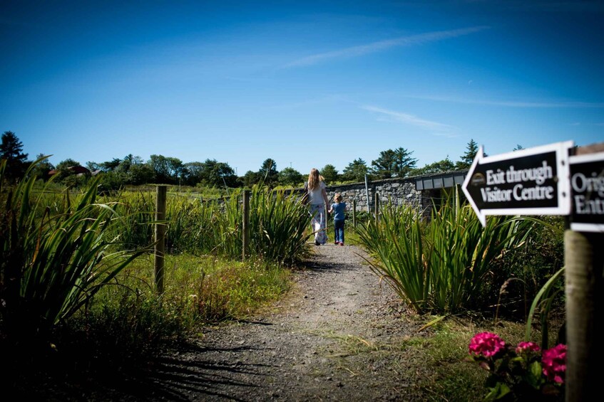 Picture 5 for Activity Doolin Cave: Underground Stalactite Tour