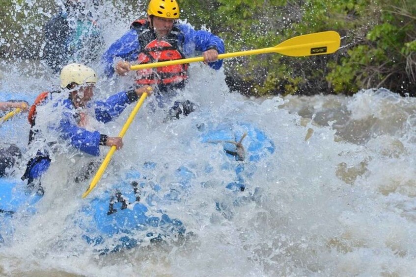Picture 4 for Activity Cañon City: Half-Day Royal Gorge Whitewater Rafting Tour