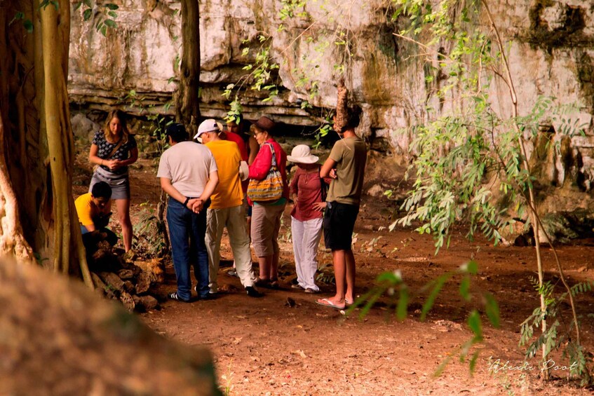 Picture 2 for Activity Xkopek, Mayan Bees Tour and Honey Tasting in Valladolid