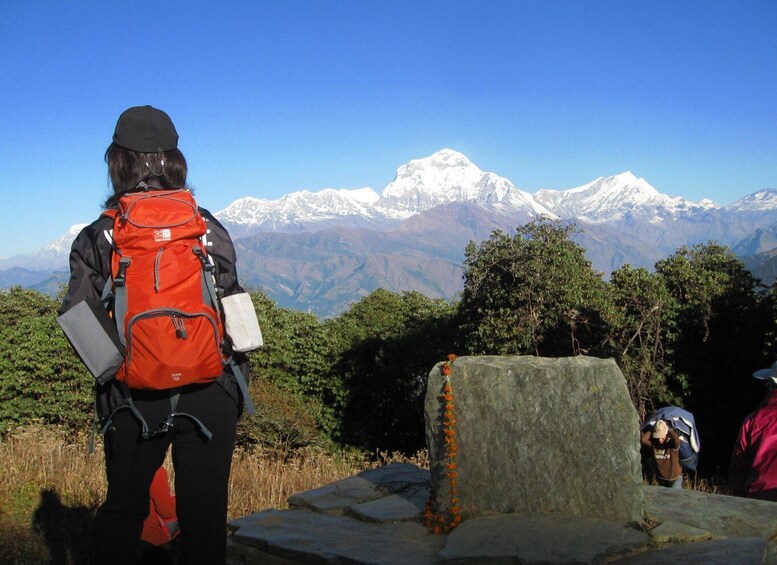 Picture 6 for Activity Annapurna - 4 Days Poon hill trek from Pokhara.