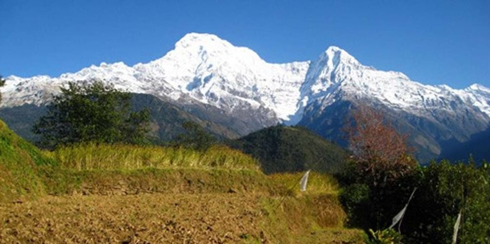 Annapurna - 4 Days Poon hill trek from Pokhara.