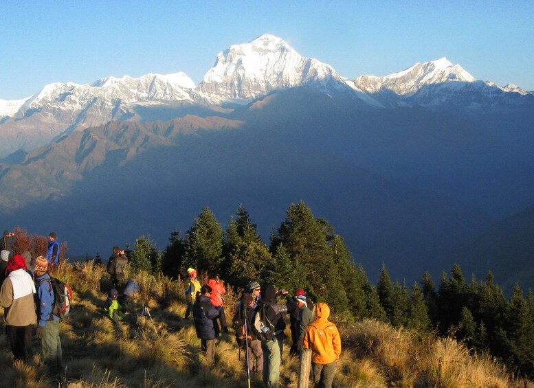 Picture 6 for Activity Annapurna - 4 Days Poon hill trek from Pokhara.