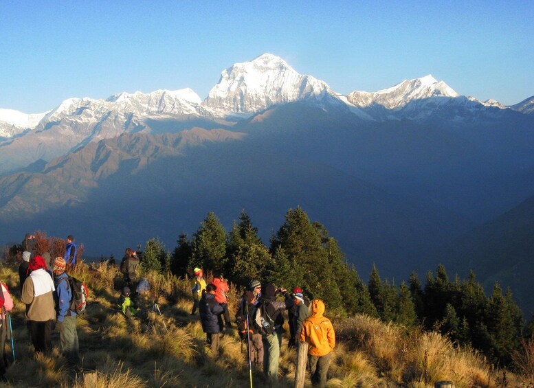 Picture 6 for Activity Annapurna - 4 Days Poon hill trek from Pokhara.