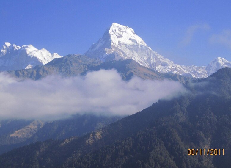 Picture 7 for Activity Annapurna - 4 Days Poon hill trek from Pokhara.