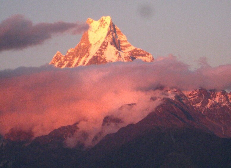 Picture 4 for Activity Annapurna - 4 Days Poon hill trek from Pokhara.