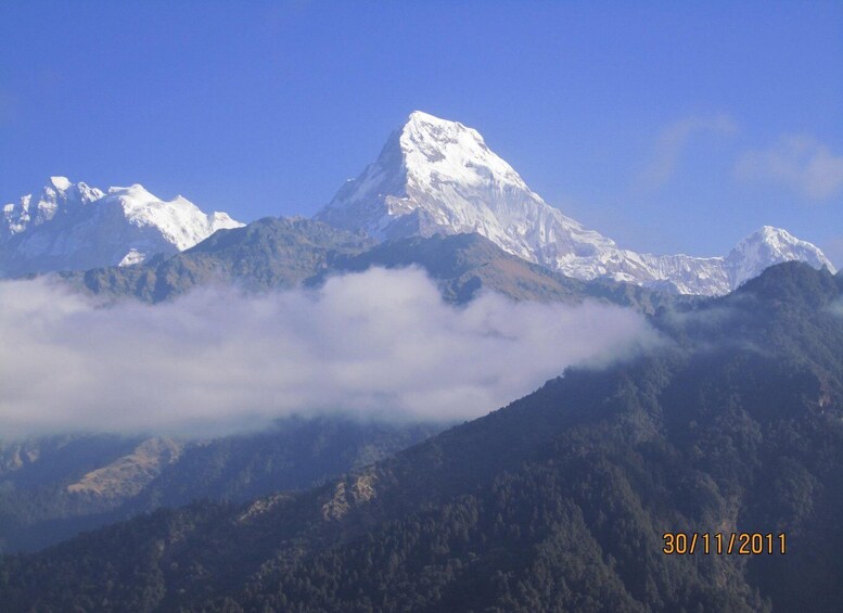 Picture 7 for Activity Annapurna - 4 Days Poon hill trek from Pokhara.